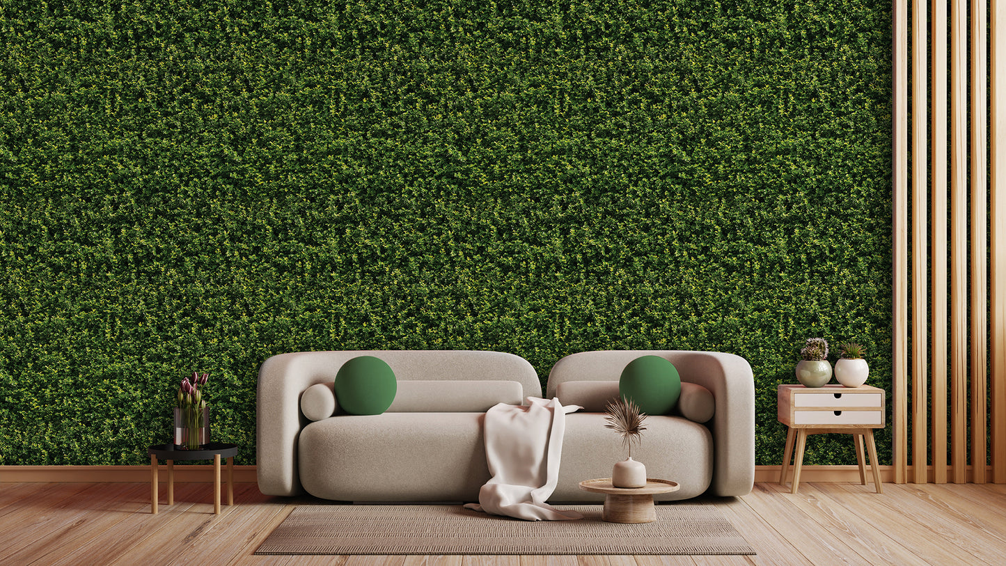 Fototapete mit Blattstruktur » Immergrüner Look Natürliche Eleganz für jedes Zimmer Nur bei Pimp My Wall