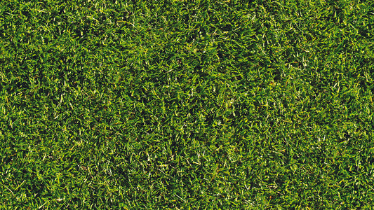 Fototapete in Rasenoptik » Grüner Urban-Style Frischer Look für jeden Raum Nur bei Pimp my Wall