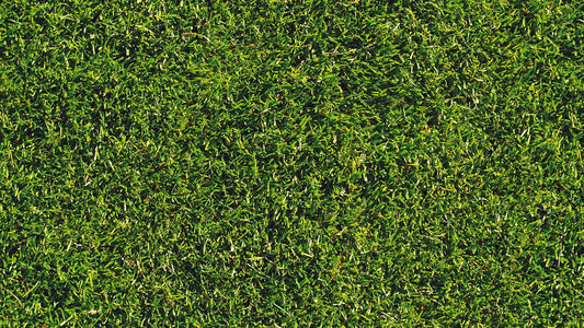 Tropische Blättertapete Grün & Sand – Modern Nr. 0004 Detailansicht – Sand, Grün, selbstklebend