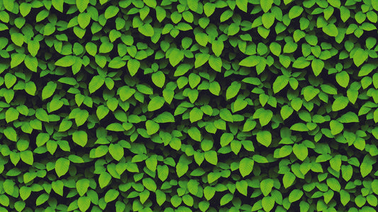 Grüne Blattstruktur im Grid-Look » Struktur trifft Natur Ordentliche Eleganz Exklusiv bei Pimp my Wall