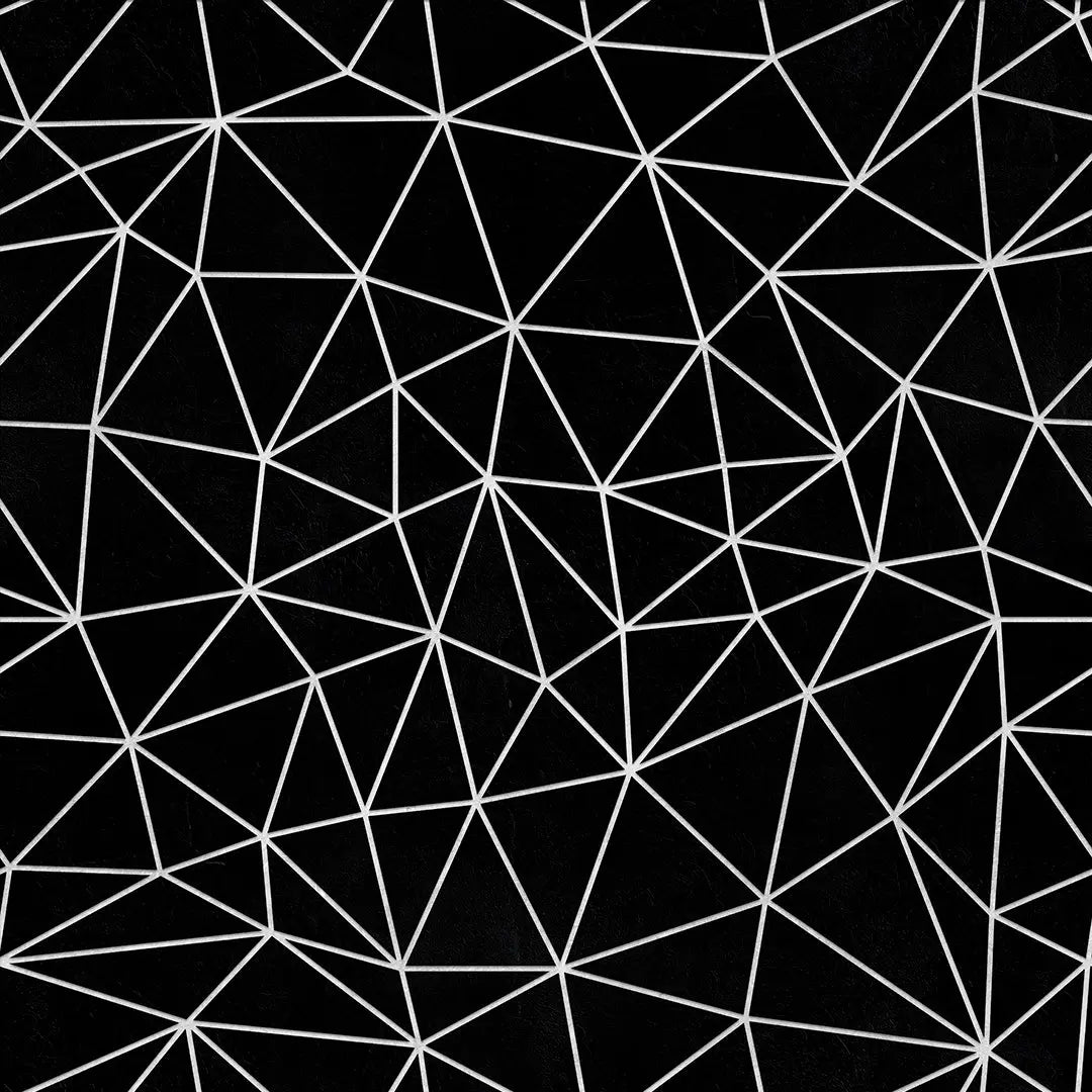 Zazz Black White Fine Lines – Geometric Wallpaper Black & White