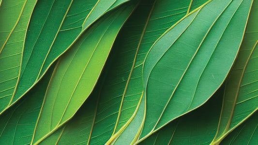 Fototapete mit Blattstruktur » Tiefe & Dynamik Lebendiger Grün-Look Nur bei Pimp my Wall