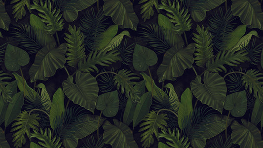 Dschungel Tapete dunkel » Elegante Blätter-Optik in Schwarzgrün Mystisch & modern Jetzt bei Pimp my Wall entdecken