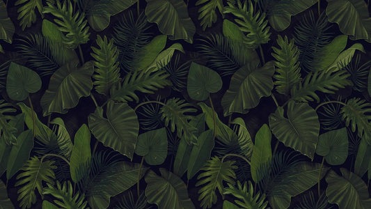 Tropische Blättertapete Schwarz & Grün – Modern Detailansicht – Grün, Schwarz, selbstklebend