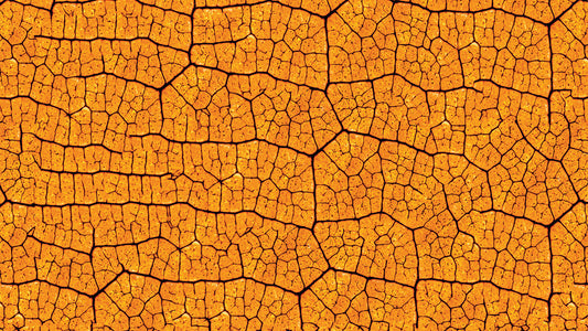 Knallige Blatttapete Orange mit organischem Muster Kraftvoll & gemütlich – by Pimp My Wall