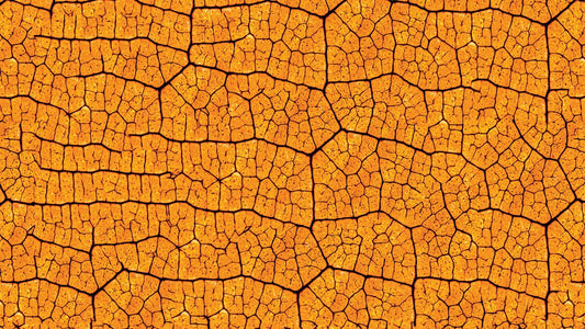 Blätter-Tapete Orange & Sand Detailansicht – Sand, Orange, selbstklebend