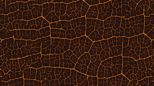 Dunkle Blatttapete Goldene Adern auf Mokka-Braun Warm & elegant – by Pimp My Wall