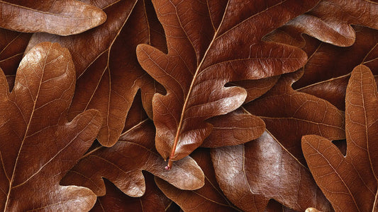 Herbstlaub-Tapete Braun & Sand Detailansicht – Braun, Sand, selbstklebend