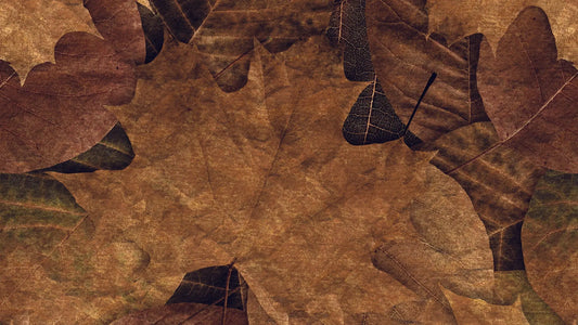 Herbstlaub-Tapete Gold & Braun – Romantisch Detailansicht – Gold, Braun, selbstklebend