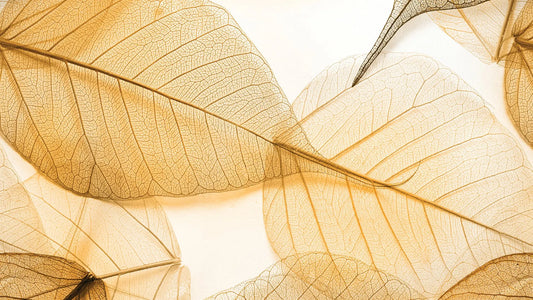 Blätter-Tapete Gold & Beige – Elegant Detailansicht – Beige, Gold, selbstklebend