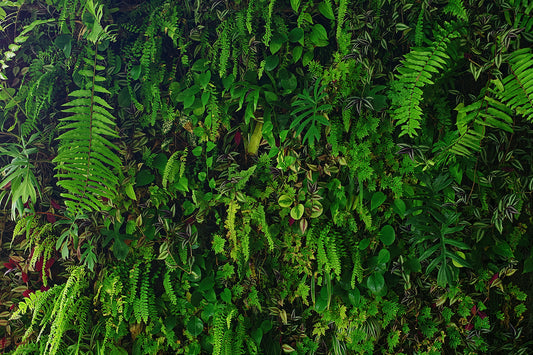 Tapete Urban Jungle vertikale Pflanzenwand in sattem Grün Design by Pimp My Wall