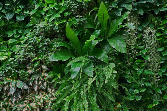 Tropische Tapete Tropicana – bunter Blättermix mit karibischem Flair als Muster