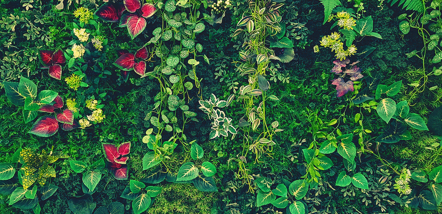 Tapete Botanical Dreams leuchtend botanisches Design mit floralen Details Design by Pimp My Wall