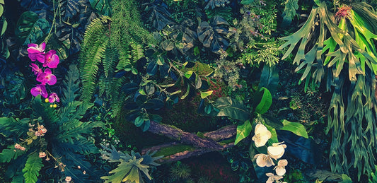 Tropische Tapete Nächtlicher Dschungel – mystisches Dschungeldesign bei Nacht