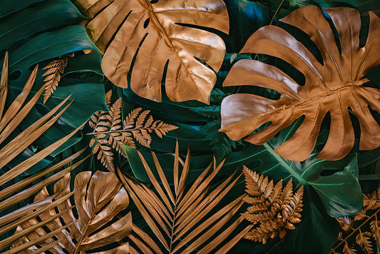 Tapete Tropical Elegance Copper Dschungelgrün & Kupfer edle Pflanzenoptik modernes Wanddesign Design by Pimp My Wall