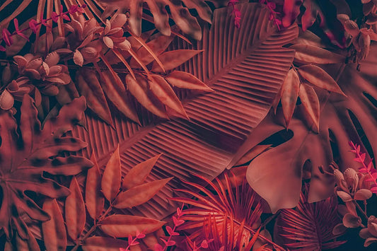 Tropische Tapete Wüstenblüte – exotische Blüten und Blätter in intensivem Rot