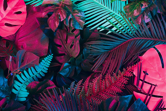 Tapete Electric Jungle tropisch & knallig mit Neon-Effekt in Magenta & Cyan expressiv & künstlerisch Design by Pimp My Wall