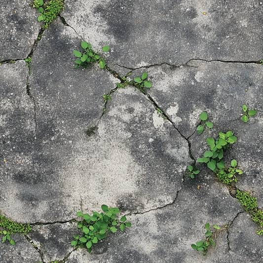 Gespaltene Betonoptik mit grünen Pflanzen Urban Jungle trifft Industrial Selbstklebende Designfolie ▪️ Nachhaltig ▪️ PVC-frei ▪️ FoliaConcept