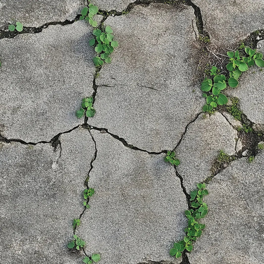 Tapete Betonoptik Risse Natur – Nahaufnahme der Betonstruktur