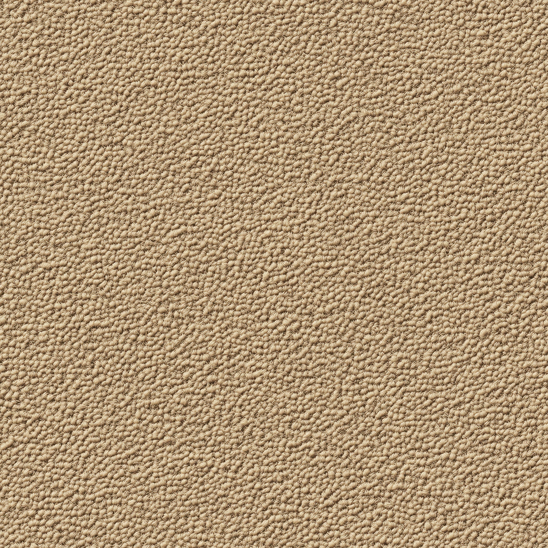 Feine Putzstruktur in Beige für moderne Räume Dezente Körnung mit natürlichem Charakter Selbstklebende & PVC-freie Tapete – made by PCC FoliaConcept!