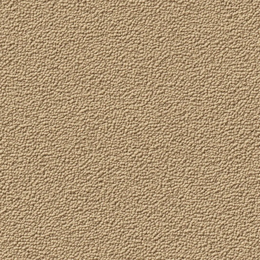 Strukturtapete Putzstruktur Sandbraun Detailansicht – Sandbraun, Ocker, Dunkelbeige, Warmbraun, selbstklebend