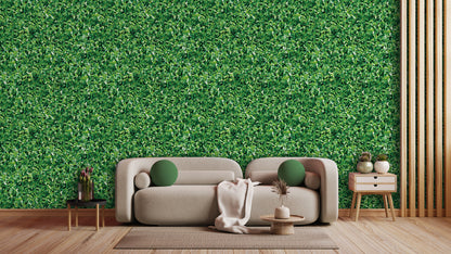 Fototapete Blätterwand » Frisches Grün für moderne Räume  Belebendes Design mit natürlichem Flair  Nur bei Pimp My Wall
