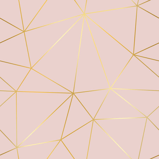 Soft Blush Geometry Zazz