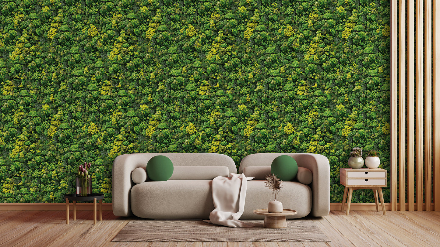 Naturtapete mit gelbgrüner Blattstruktur » Frische Energie  Lebendige Waldoptik  Nur bei Pimp my Wall