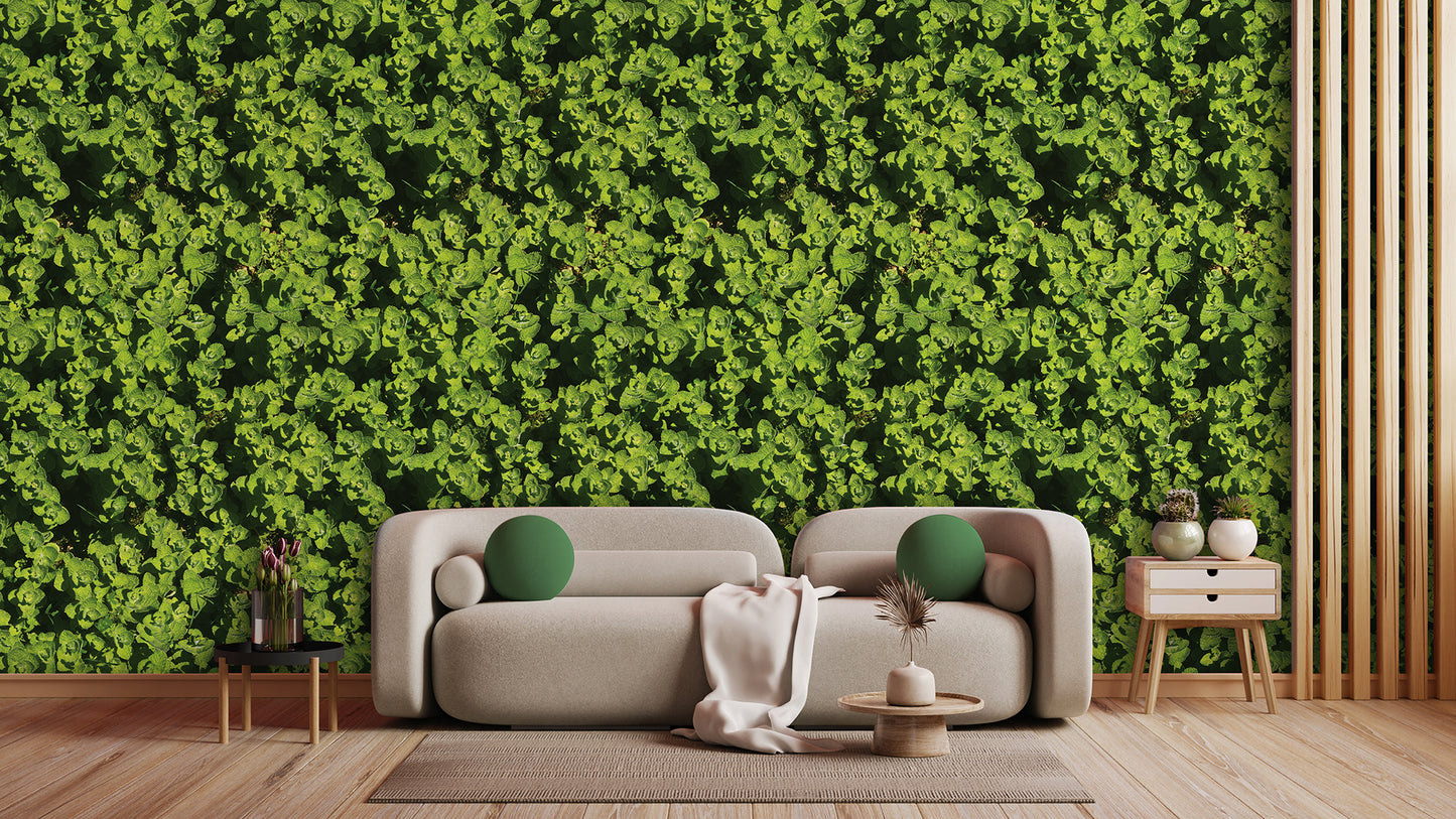 Botanische Tapete in Minzgrün » Frisch & modern  Natürlich inspiriert  Nur bei Pimp my Wall