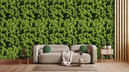 Botanische Tapete in Minzgrün » Frisch & modern  Natürlich inspiriert  Nur bei Pimp my Wall