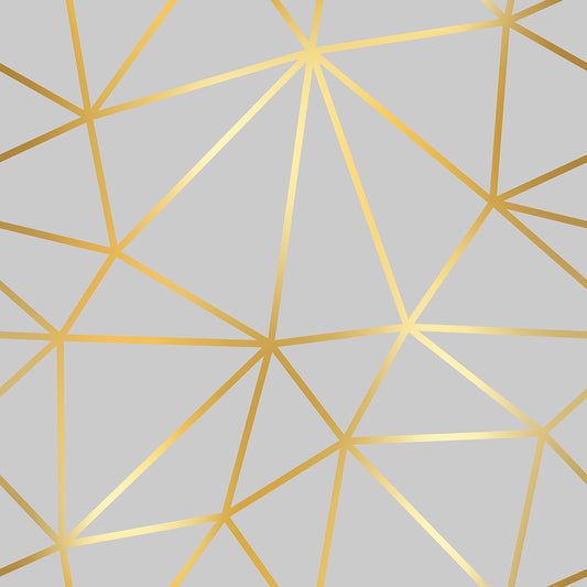 Light Silver Geometry Zazz