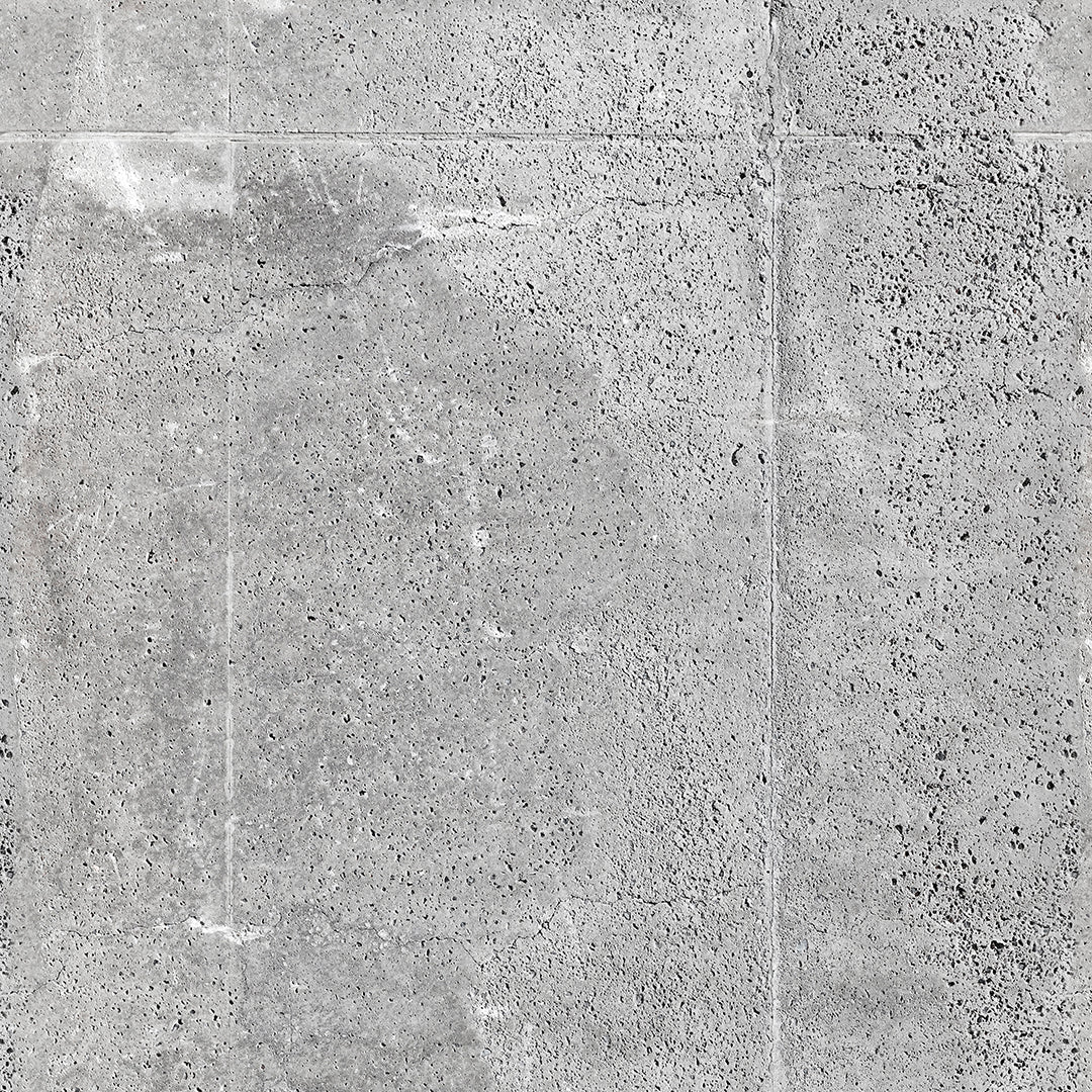 Industrial Raw Concrete Panel