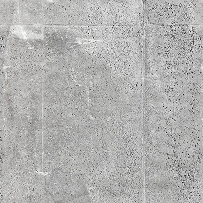 Industrial Raw Concrete Panel