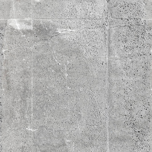 Industrial Raw Concrete Panel