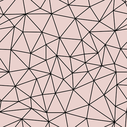Rose Black Small Geometry Zazz