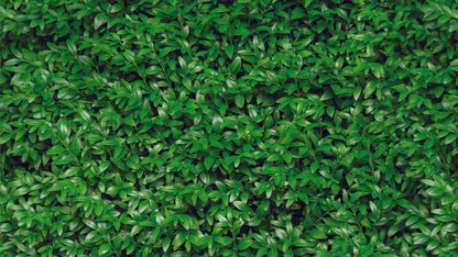 Fototapete mit Blätterstruktur » Grüner Natur-Look  Stilvoll & modern  Exklusiv bei Pimp my Wall