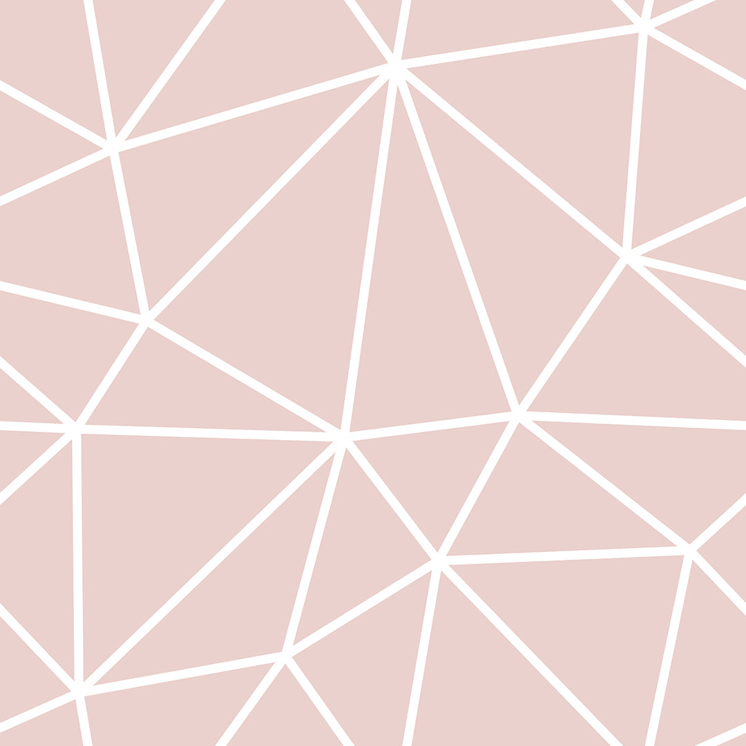 Dusty Pink White Geometry Zazz
