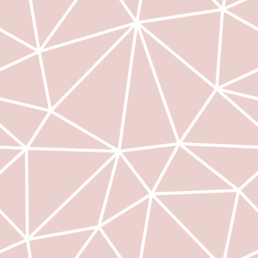 Dusty Pink White Geometry Zazz