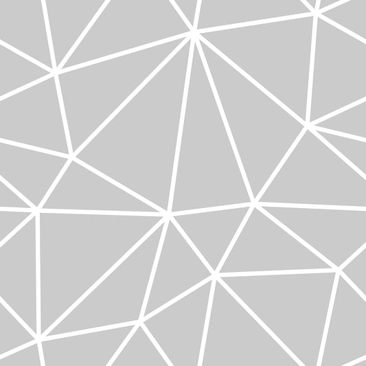 Light Grey White Geometry Zazz