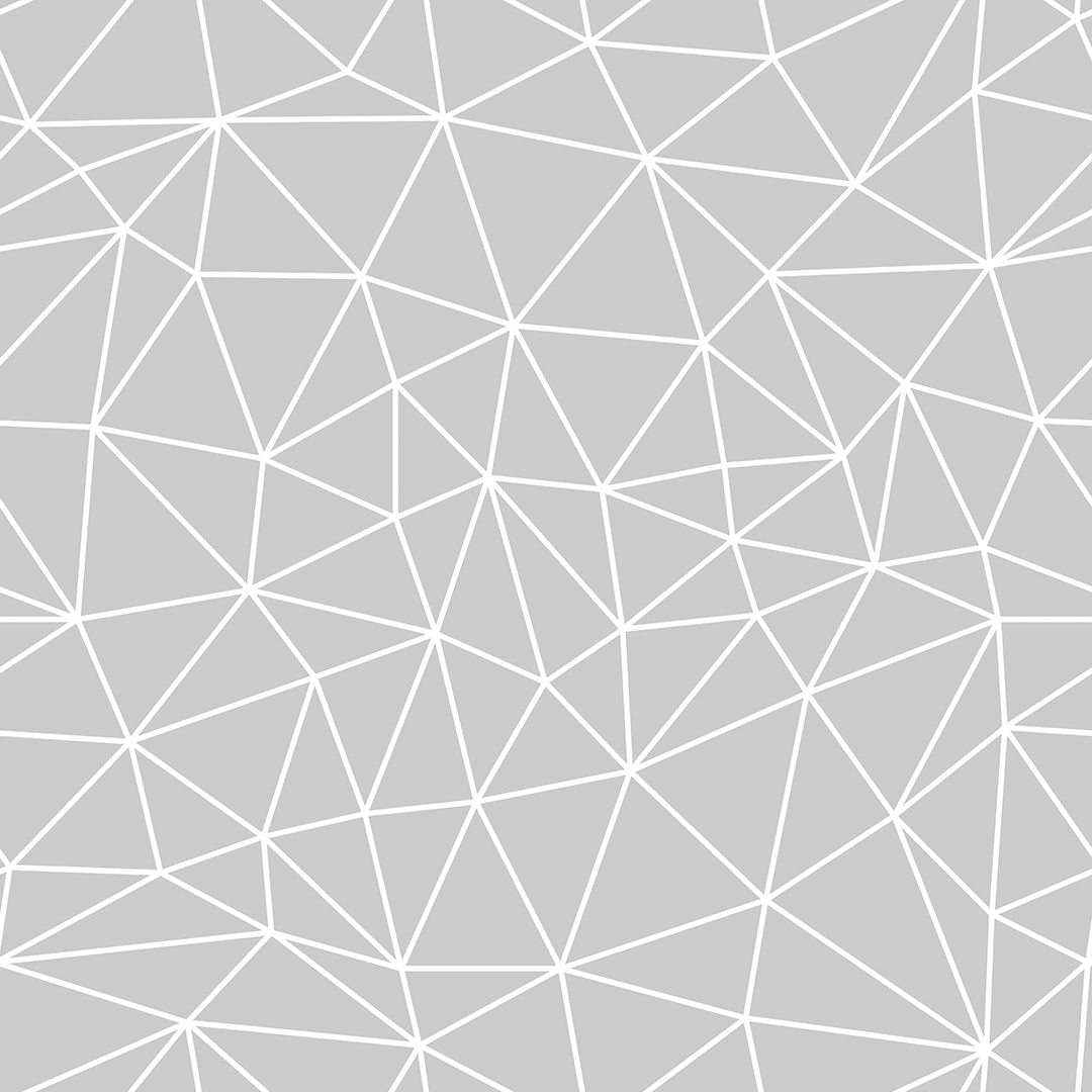 Light Grey White Geometry Zazz