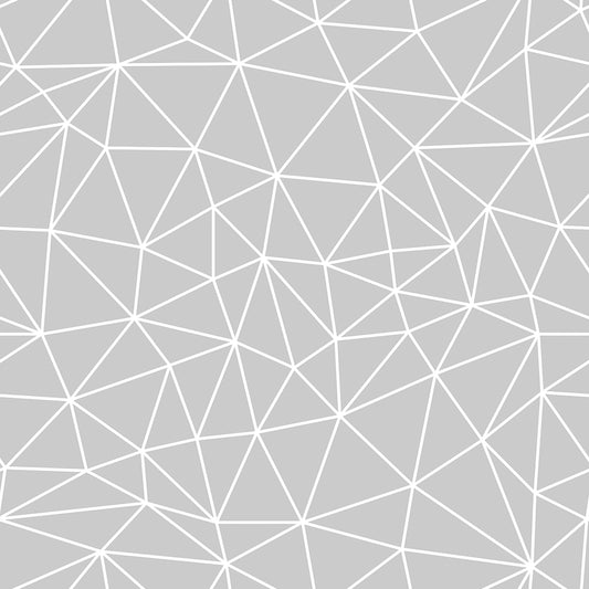 Light Grey White Geometry Zazz