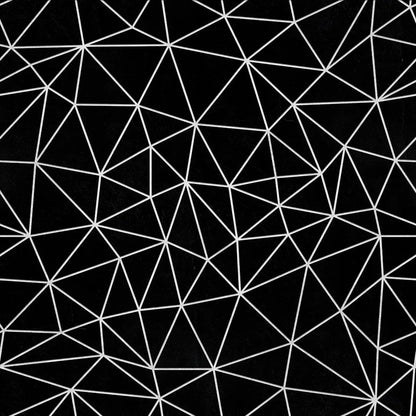 Zazz Black White Fine Lines – Geometric Wallpaper Black & White