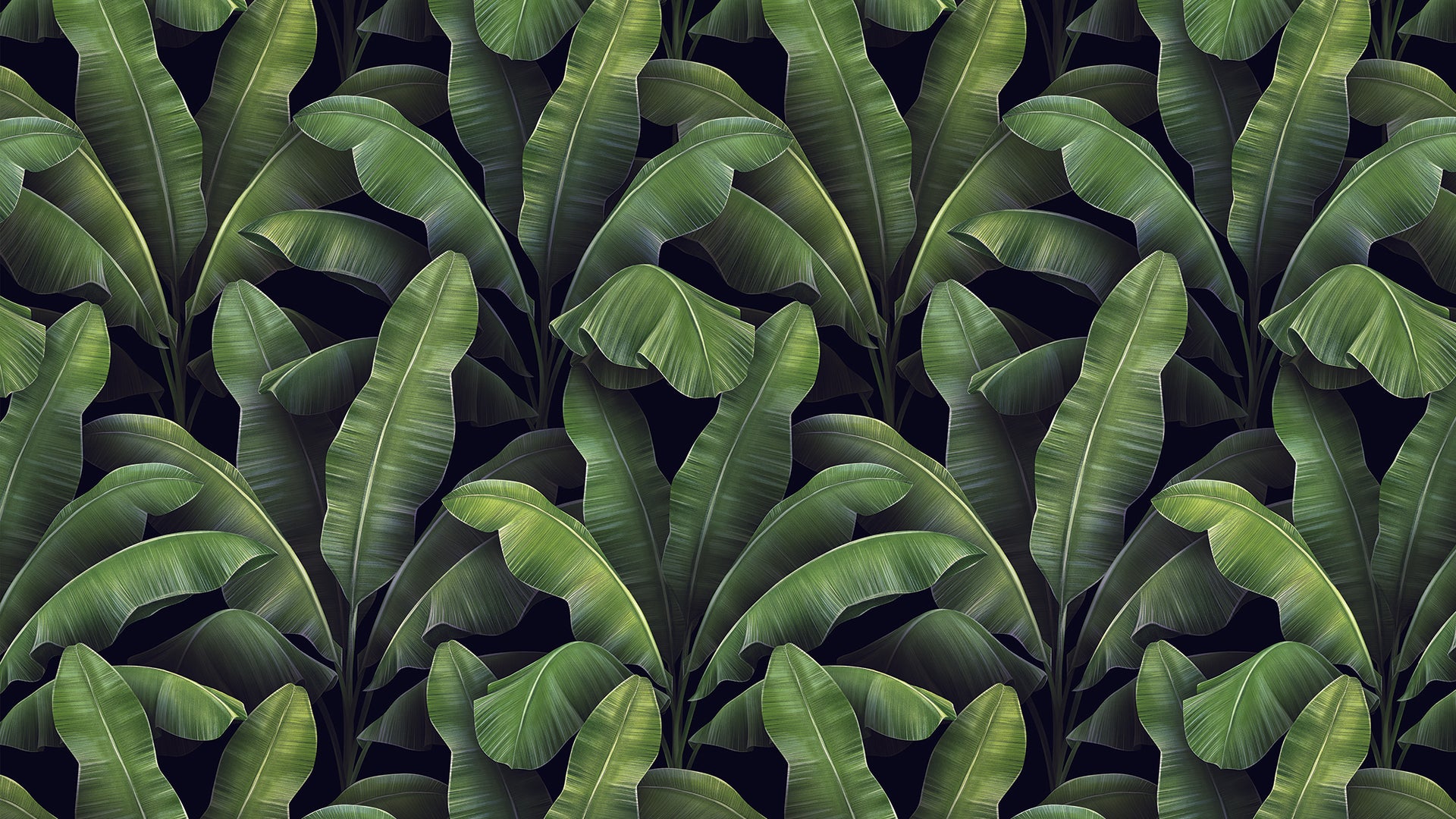 Dschungel‑Tapete mit detailreichen Blättern  Smaragd‑ & Moostöne  Natürliche Atmosphäre – by Pimp My Wall