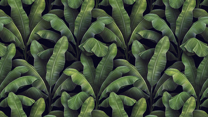 Dschungel‑Tapete mit detailreichen Blättern  Smaragd‑ & Moostöne  Natürliche Atmosphäre – by Pimp My Wall