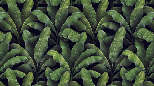 Dschungel‑Tapete mit detailreichen Blättern  Smaragd‑ & Moostöne  Natürliche Atmosphäre – by Pimp My Wall