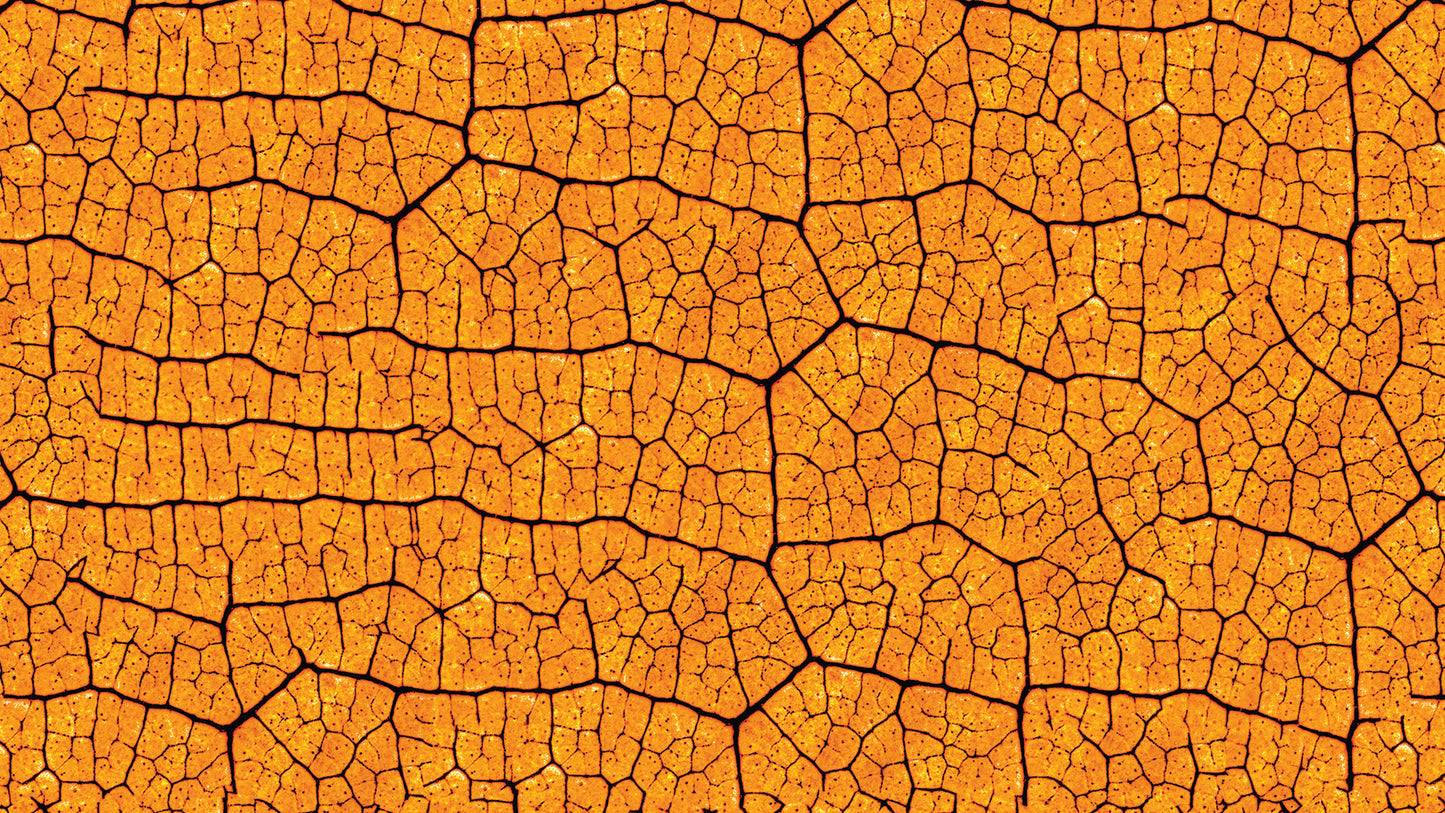 Knallige Blatttapete  Orange mit organischem Muster  Kraftvoll & gemütlich – by Pimp My Wall