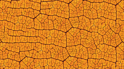 Knallige Blatttapete  Orange mit organischem Muster  Kraftvoll & gemütlich – by Pimp My Wall
