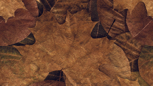 Herbstliche Blätter-Tapete  Warme Naturfarben  Design by Pimp My Wall