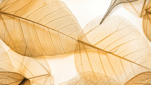 Goldene Blätter-Tapete  Elegantes Naturmotiv  Design by Pimp My Wall