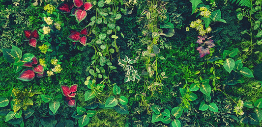 Tapete Botanical Dreams  leuchtend botanisches Design mit floralen Details  Design by Pimp My Wall